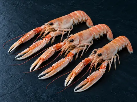 Foto campione: Scampi 8/12 in vaschetta